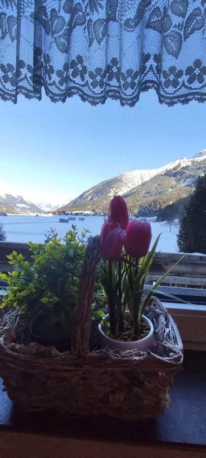 Ferienhaus Lechtaler Alpen บาค ภายนอก รูปภาพ